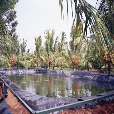 Ldpe - Films Sheets Geomembrane Liners